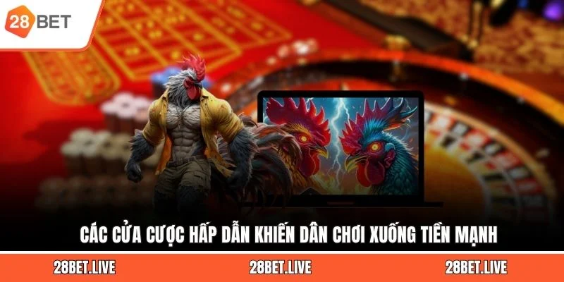 Các cửa cược hấp dẫn khiến dân chơi xuống tiền mạnh